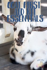 Goat First Aid Kit Essentials
