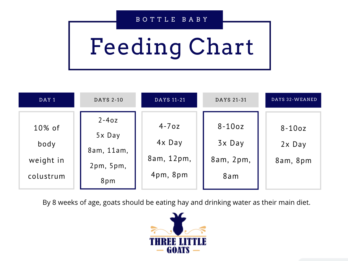 Goat Diet Goat Feeding Chart