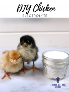 homemade chicken electrolyte recipe