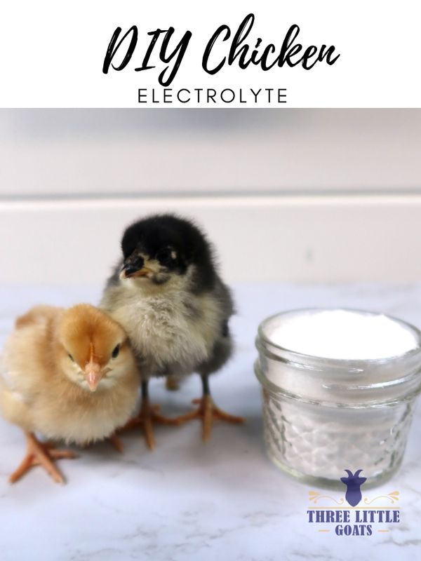 Homemade Chicken Electrolyte Recipe!