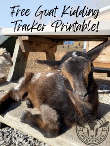 Free Goat Kidding Tracker Printable!